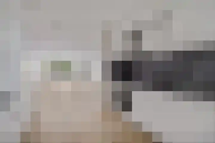 Boeieraak 24 Etten-Leur thumbnail 14