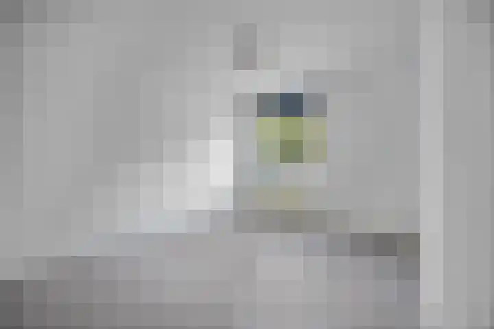 Boeieraak 24 Etten-Leur thumbnail 16