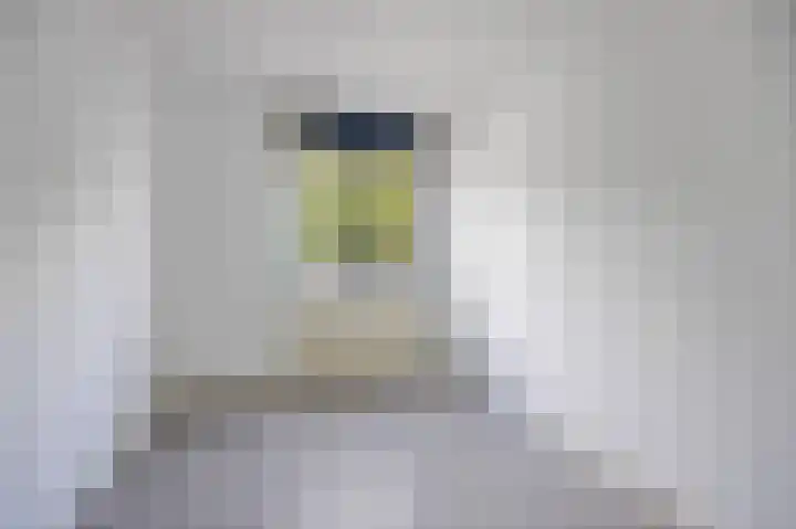 Boeieraak 24 Etten-Leur thumbnail 18