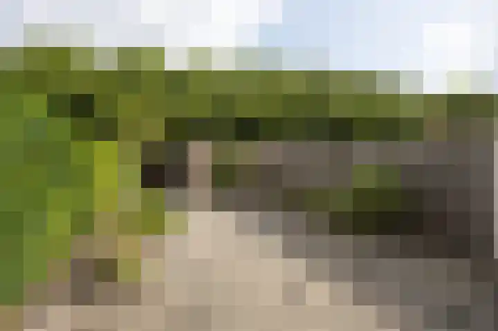 Boeieraak 24 Etten-Leur thumbnail 29