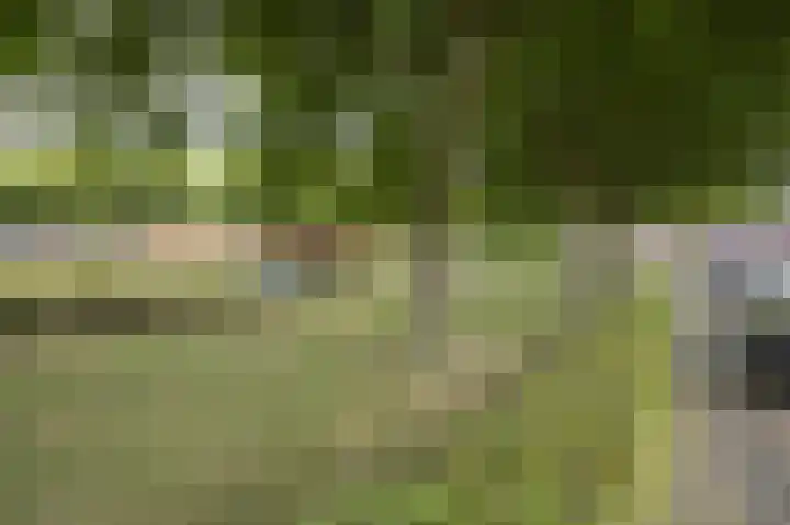 Boeieraak 24 Etten-Leur thumbnail 37