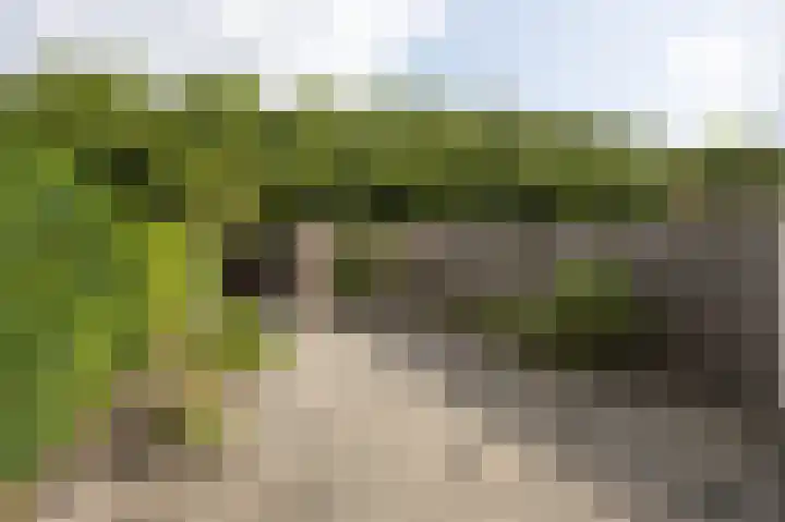 Boeieraak 24 Etten-Leur thumbnail 4
