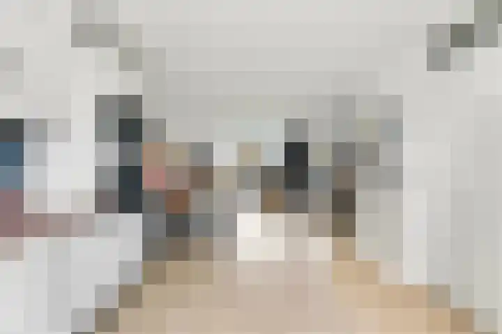 Boeieraak 32 Papendrecht thumbnail 13