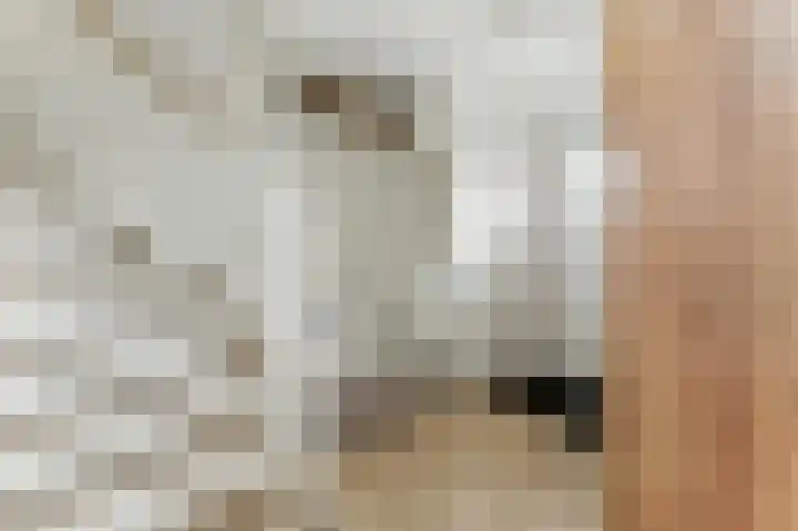 Boeieraak 32 Papendrecht thumbnail 18