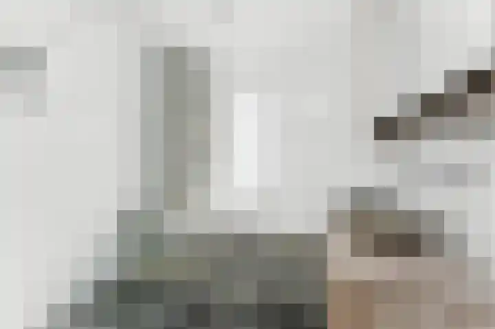 Boeieraak 32 Papendrecht thumbnail 27
