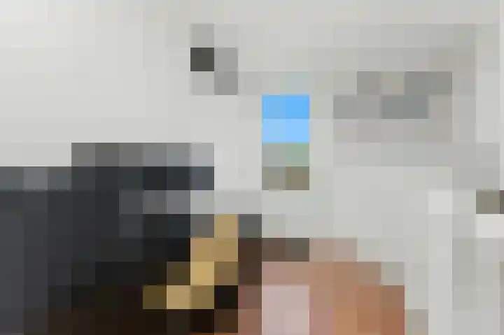 Boeieraak 32 Papendrecht thumbnail 31