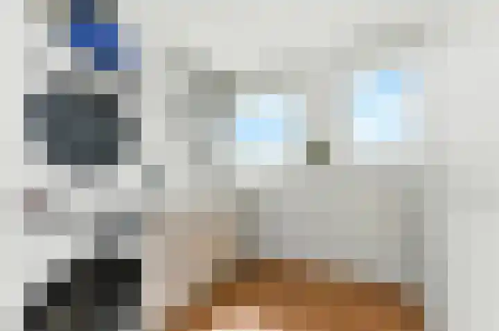 Boeieraak 32 Papendrecht thumbnail 35