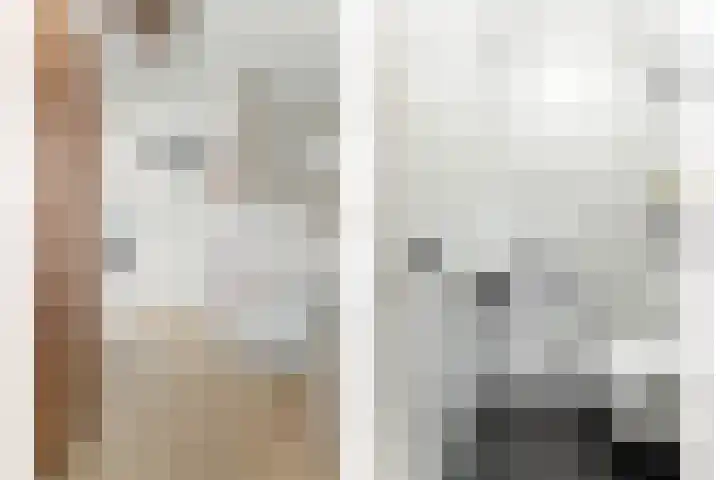 Boeieraak 32 Papendrecht thumbnail 4