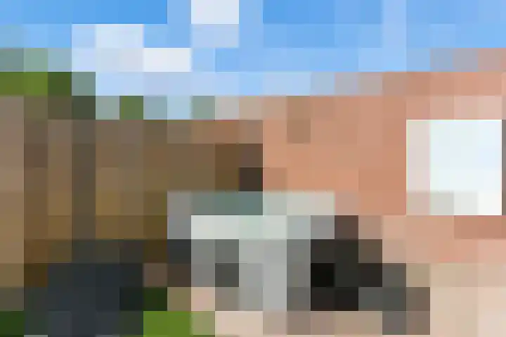 Boeieraak 32 Papendrecht thumbnail 42