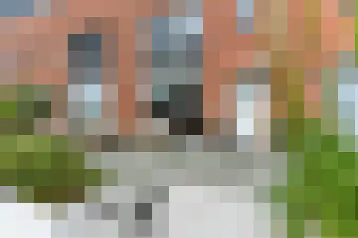 Boeieraak 32 Papendrecht thumbnail 45