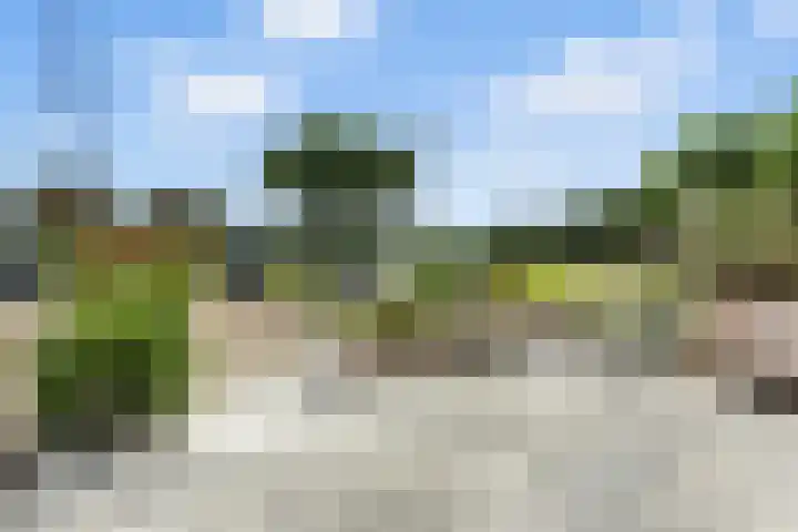 Boeieraak 32 Papendrecht thumbnail 46