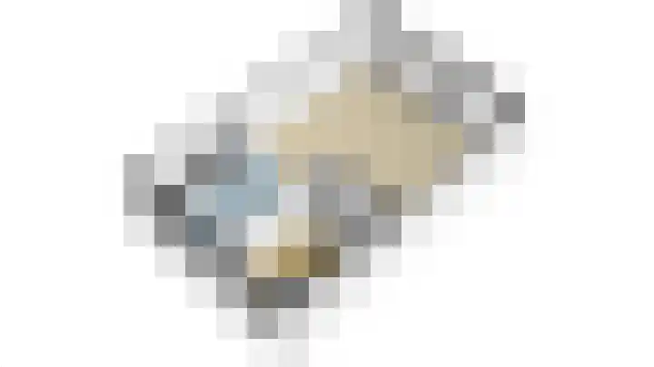 Boeieraak 32 Papendrecht thumbnail 49