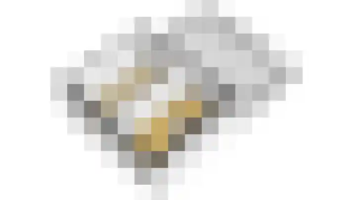 Boeieraak 32 Papendrecht thumbnail 53