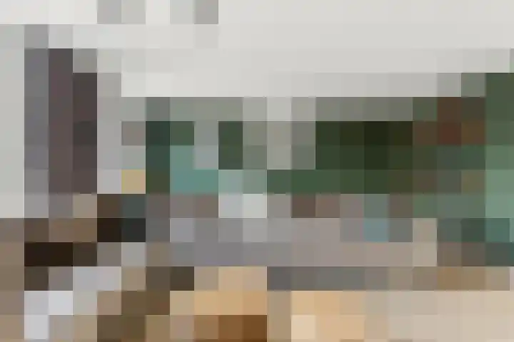 Boeieraak 32 Papendrecht thumbnail 6