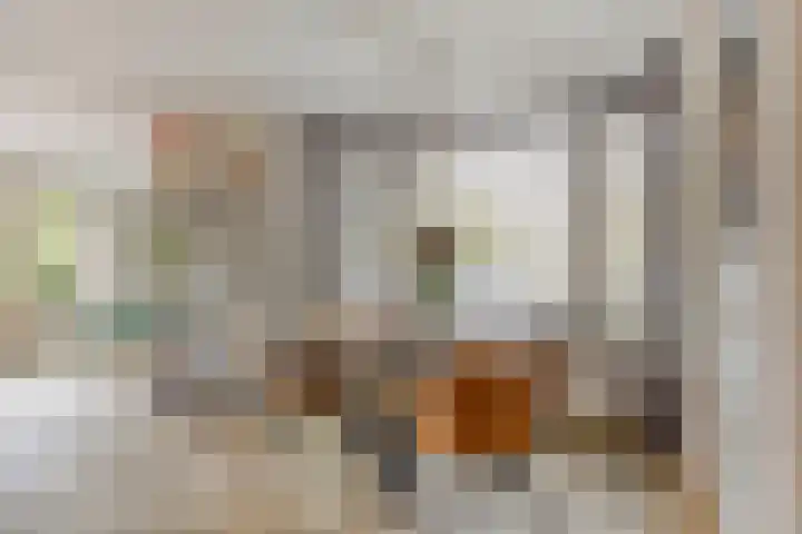 Boeieraak 38 Etten-Leur thumbnail 14