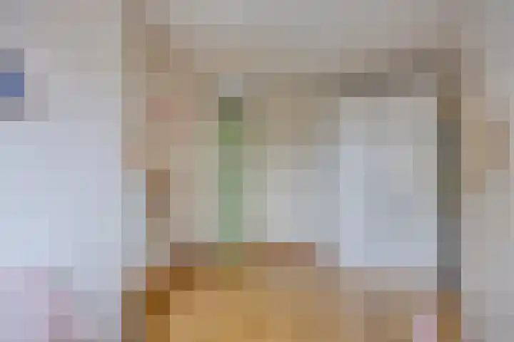Boeieraak 38 Etten-Leur thumbnail 22