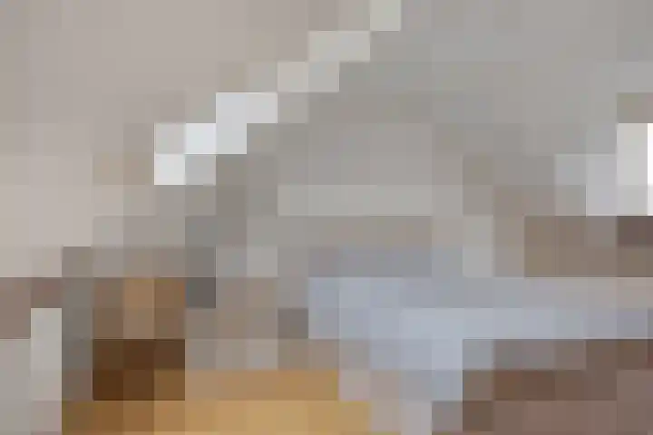 Boeieraak 38 Etten-Leur thumbnail 29