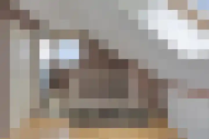 Boeieraak 38 Etten-Leur thumbnail 31