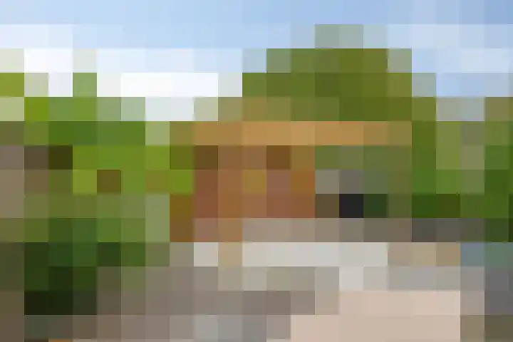 Boeieraak 38 Etten-Leur thumbnail 33