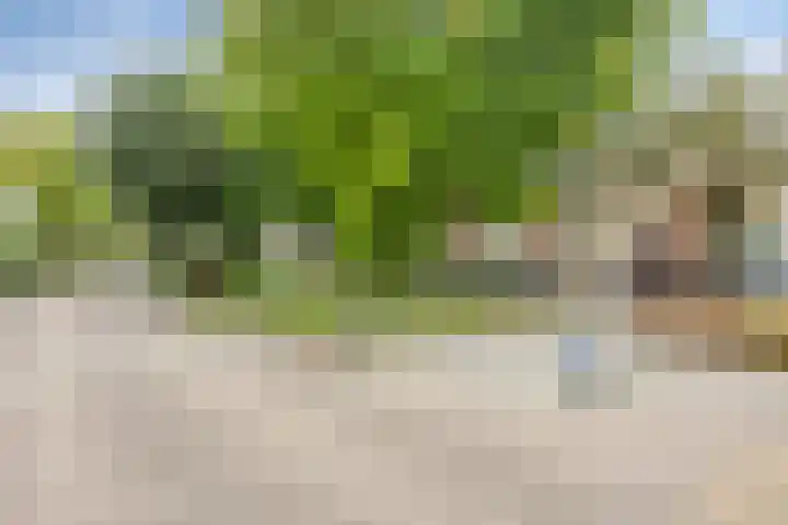 Boeieraak 38 Etten-Leur thumbnail 38