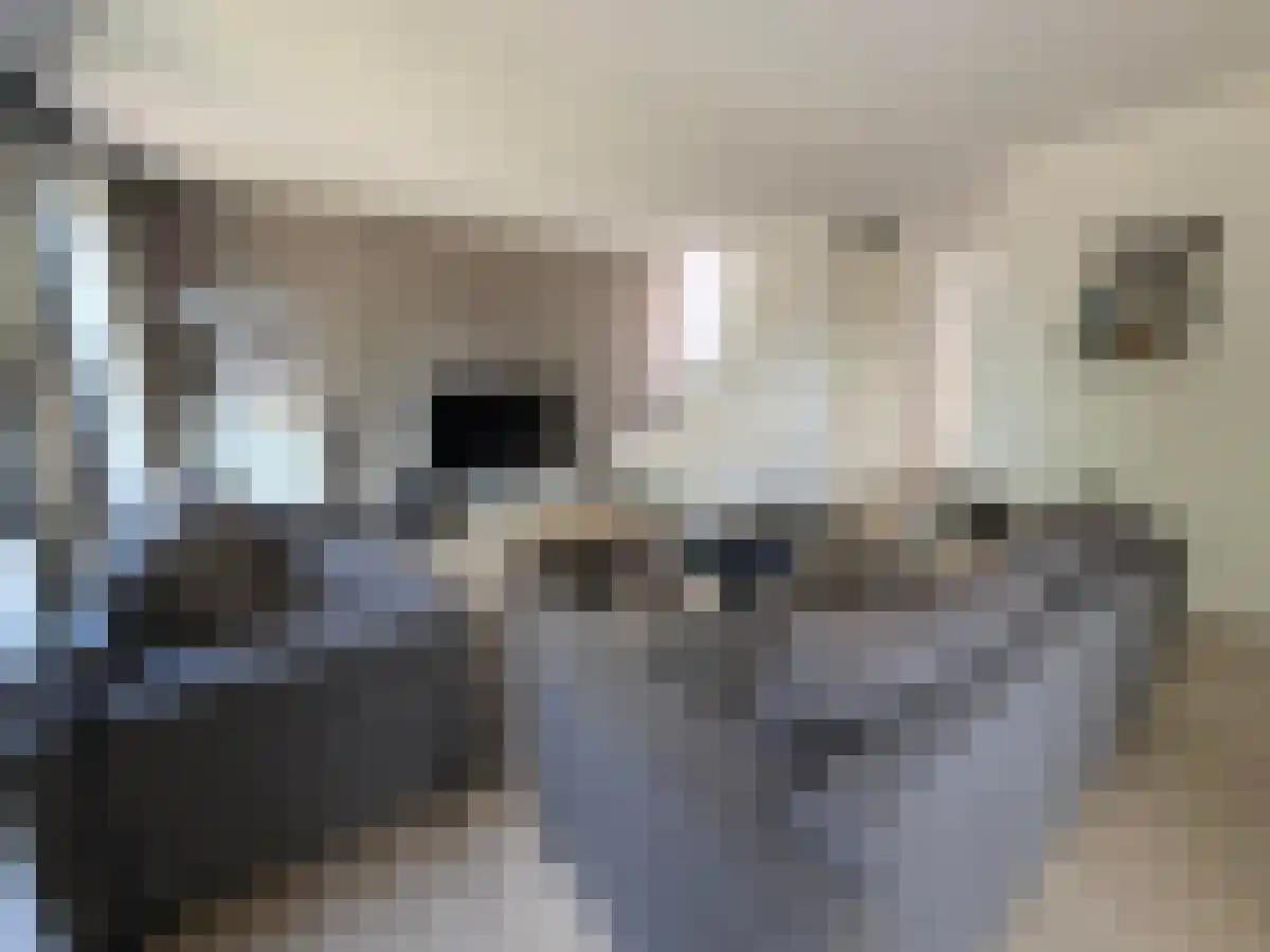 Boeieraak 4 Etten-Leur thumbnail 4