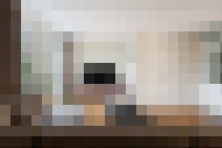 Boeieraak 45 Etten-Leur thumbnail 10
