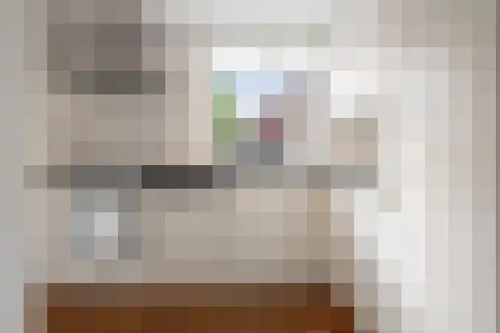 Boeieraak 45 Etten-Leur thumbnail 12