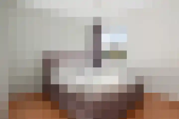 Boeieraak 45 Etten-Leur thumbnail 17