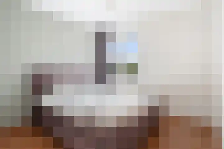 Boeieraak 45 Etten-Leur thumbnail 18