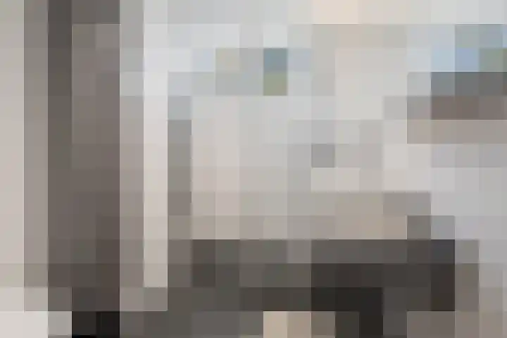Boeieraak 45 Etten-Leur thumbnail 23