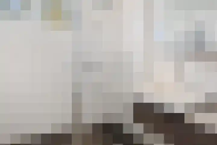 Boeieraak 45 Etten-Leur thumbnail 24