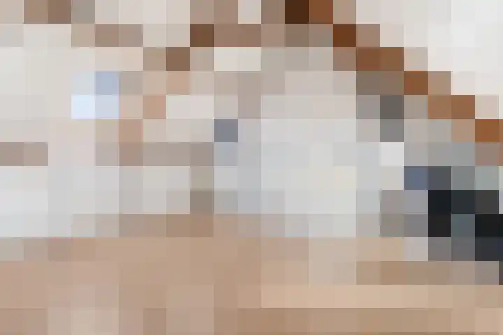 Boeieraak 45 Etten-Leur thumbnail 26
