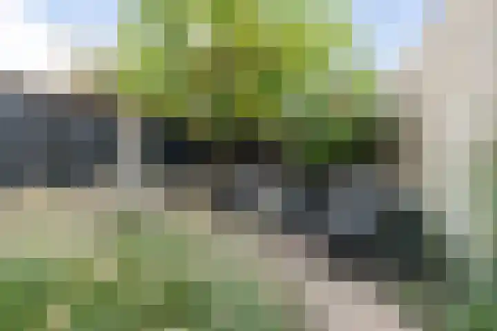 Boeieraak 45 Etten-Leur thumbnail 28