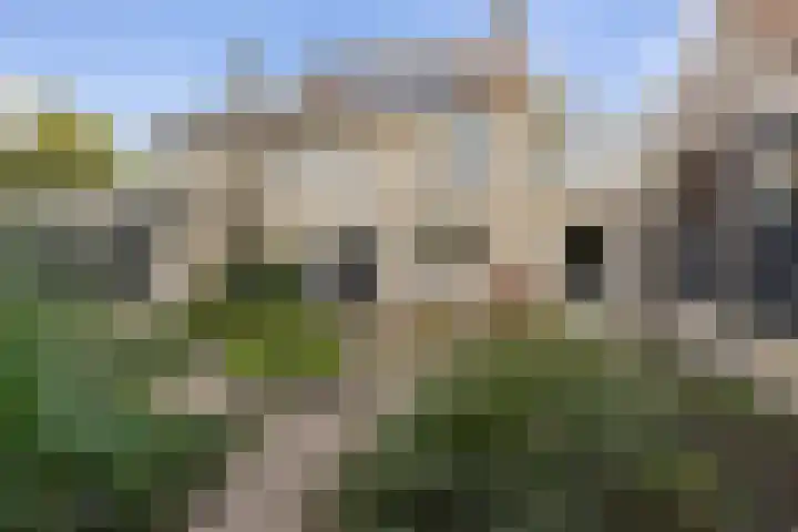 Boeieraak 45 Etten-Leur thumbnail 29