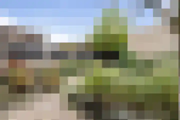 Boeieraak 45 Etten-Leur thumbnail 31