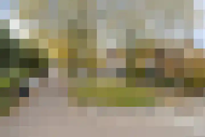 Boeieraak 45 Etten-Leur thumbnail 32