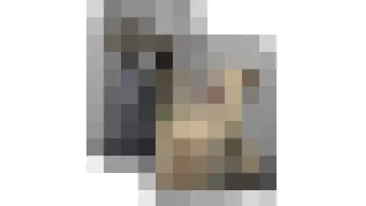 Boeieraak 45 Etten-Leur thumbnail 35