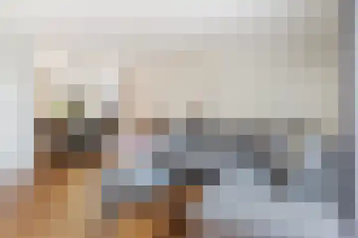 Boeieraak 45 Etten-Leur thumbnail 6