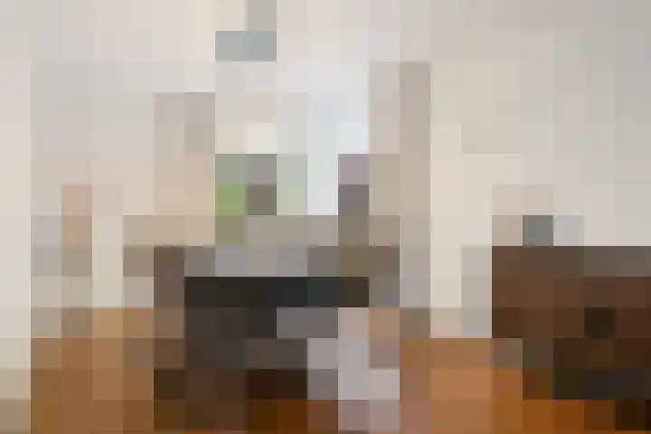 Boeieraak 45 Etten-Leur thumbnail 7