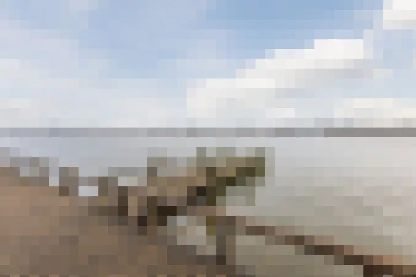 Boeieraak 46 Bergen op Zoom thumbnail 37