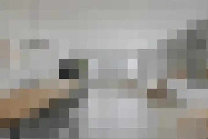 Boeieraak 52 Etten-Leur thumbnail 12