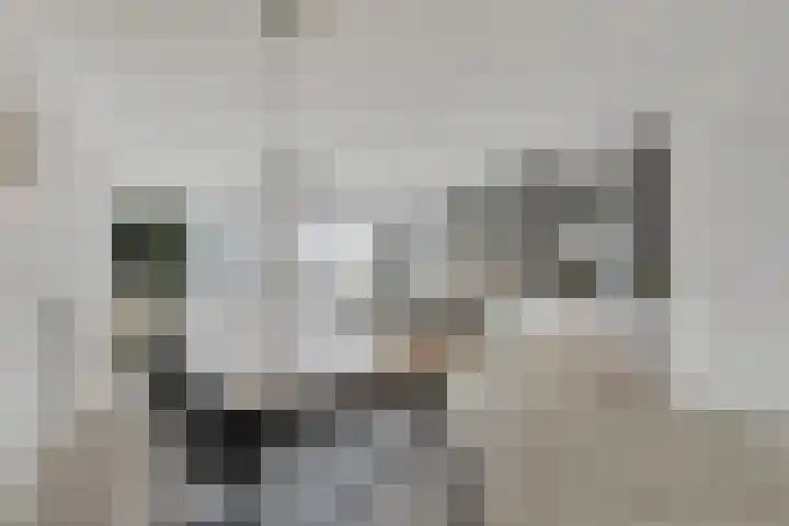 Boeieraak 52 Etten-Leur thumbnail 13