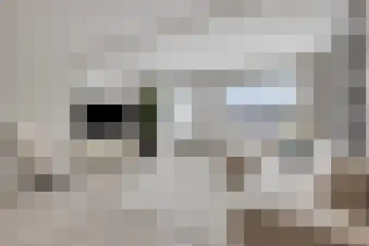 Boeieraak 52 Etten-Leur thumbnail 15