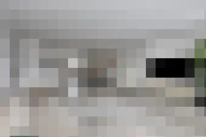 Boeieraak 52 Etten-Leur thumbnail 18