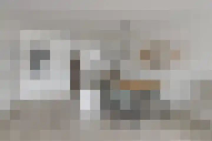 Boeieraak 52 Etten-Leur thumbnail 19