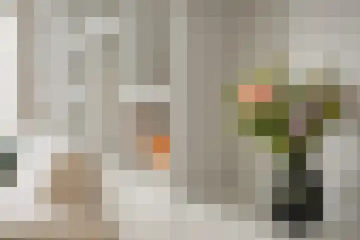 Boeieraak 52 Etten-Leur thumbnail 26