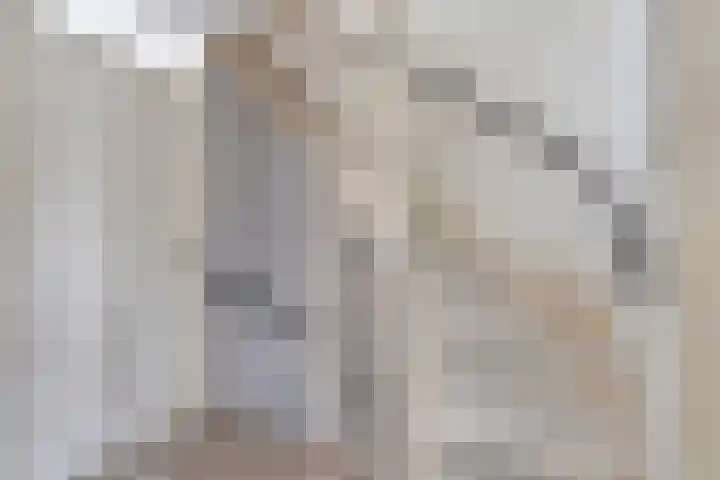 Boeieraak 52 Etten-Leur thumbnail 27