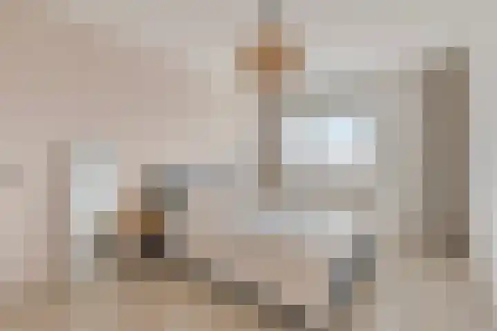 Boeieraak 52 Etten-Leur thumbnail 28