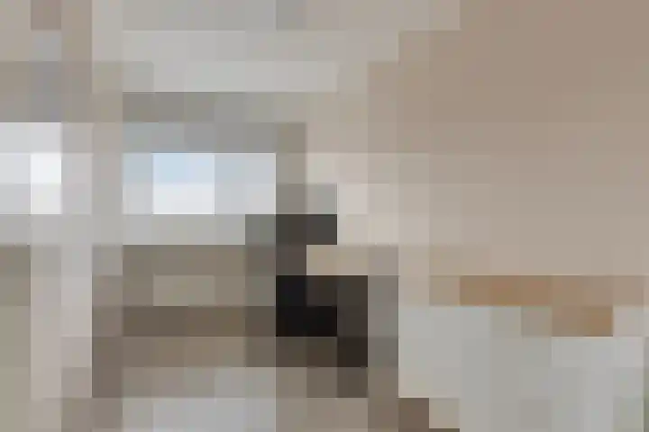 Boeieraak 52 Etten-Leur thumbnail 34
