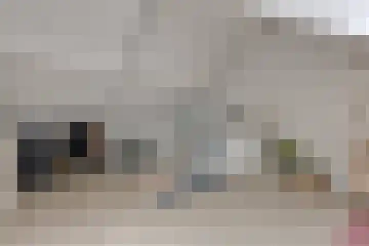 Boeieraak 52 Etten-Leur thumbnail 35